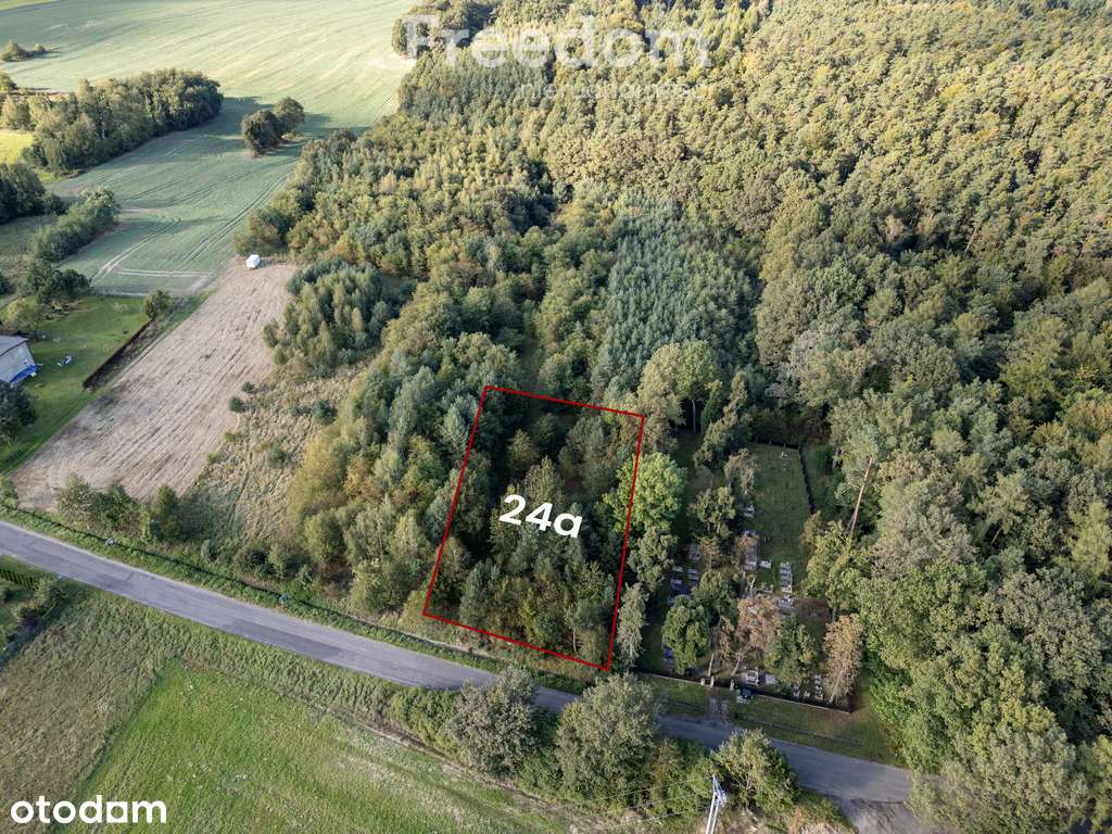Działka na sprzedaż rolna/ leśna. - Pełny obrazek: 4/5