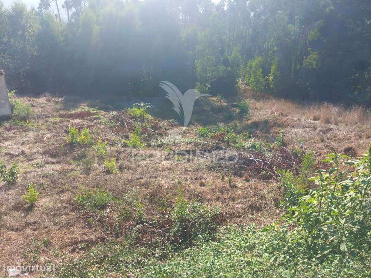 Ruina com excelente terreno - Grande imagem: 5/21