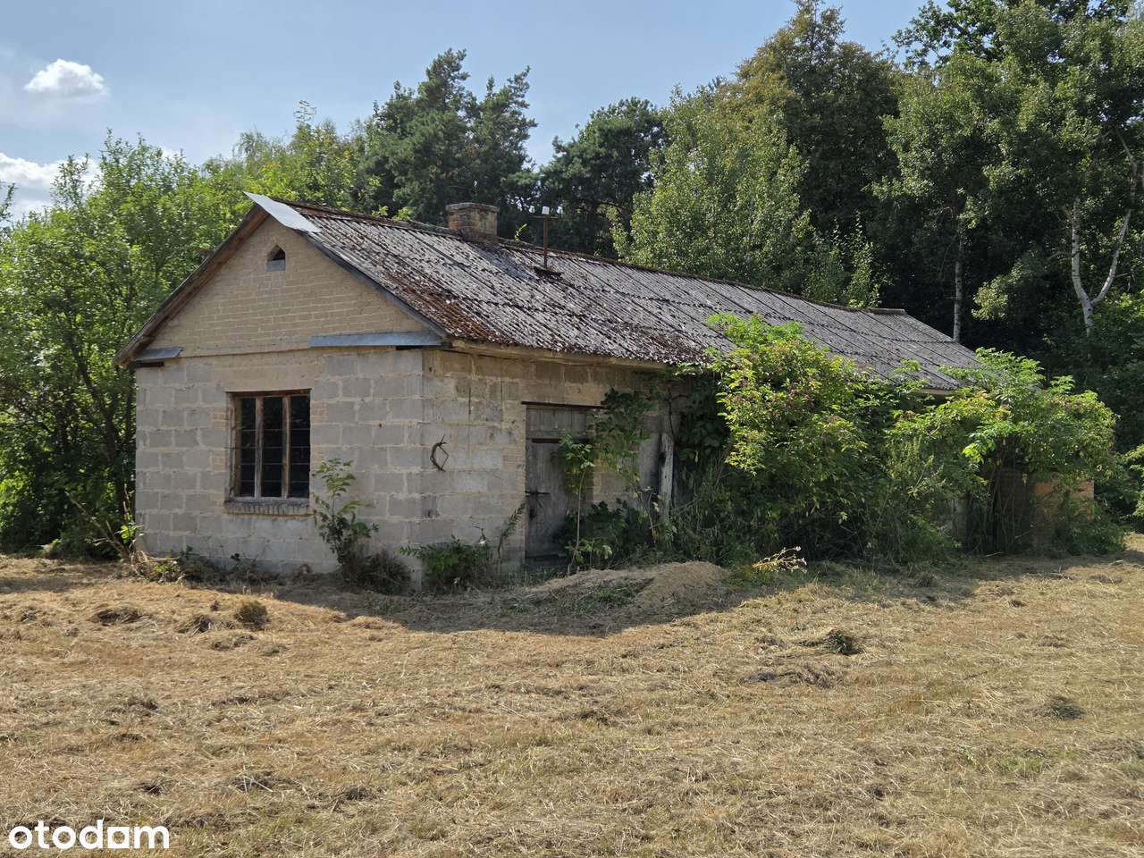 Atrakcyjna, uzbrojona działka pod budowę domu z prywatnym lasem-9