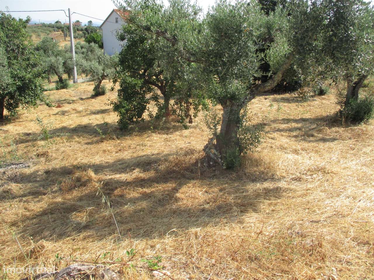 Moradia T2 Venda em Sarzedas,Castelo Branco - Grande imagem: 5/22