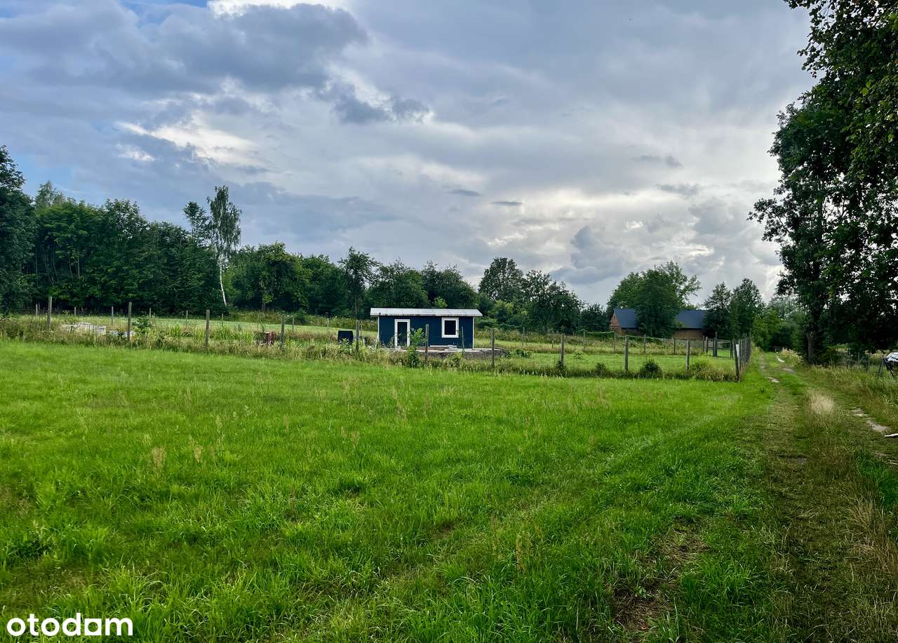 Fantastyczne 1.800 m2 w Puszczy Białej, z dec. WZ - Pełny obrazek: 5/12