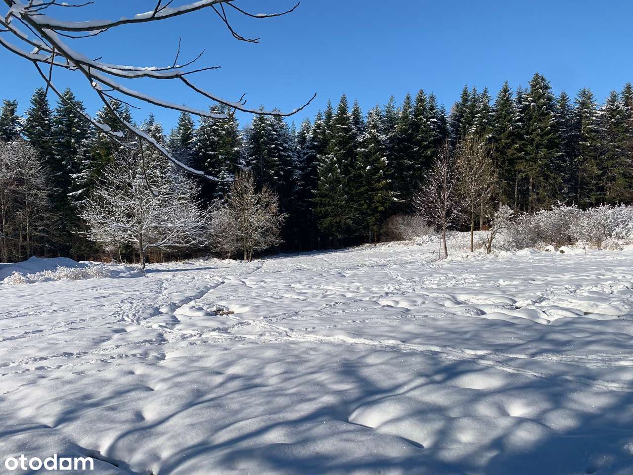 Duża działka w Zawoi Podpolice - Pełny obrazek: 5/13