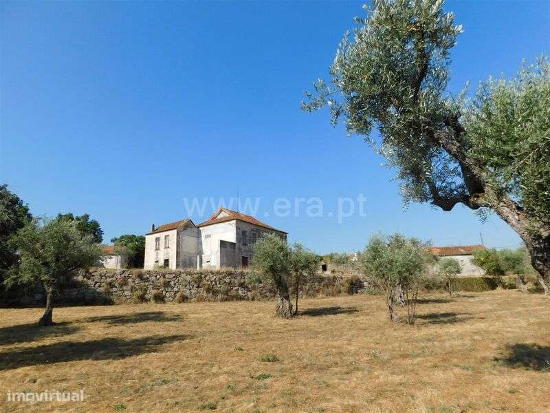 Moradia Isolada T4 / Seia, Torrozelo e Folhadosa - Grande imagem: 2/20