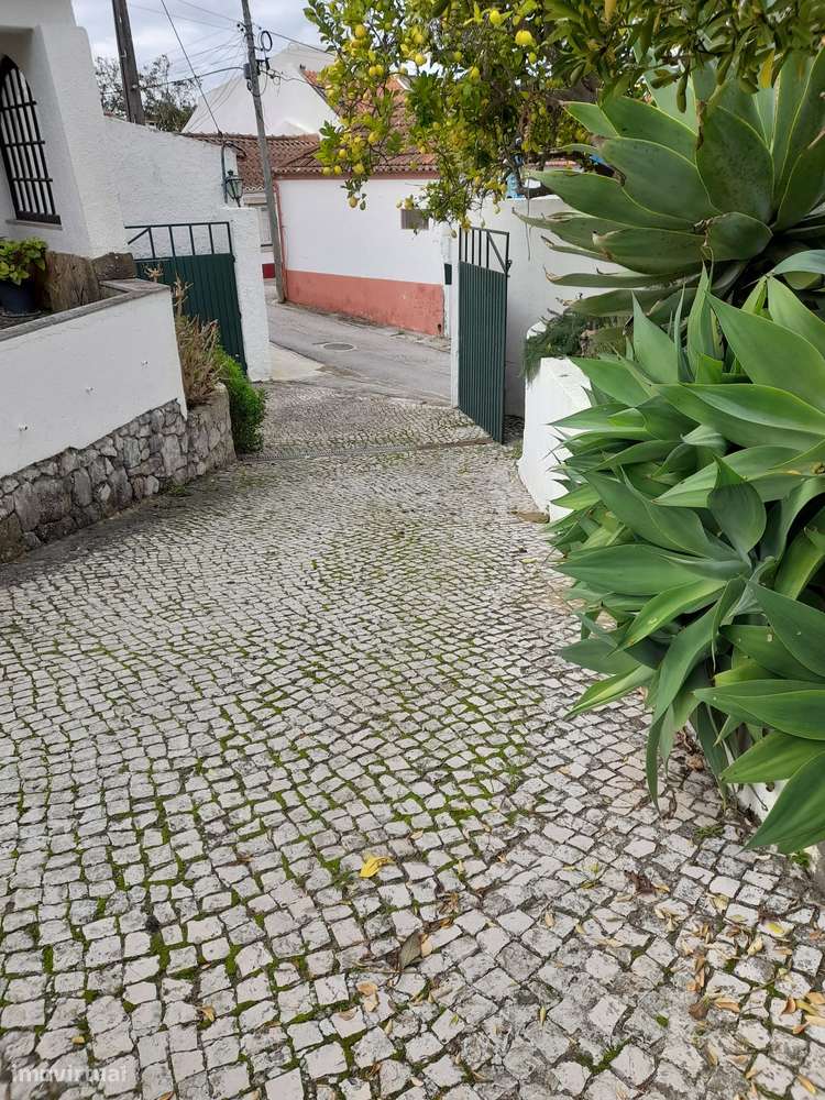 Azeitão/ Parque Natural Arrábida Quinta 7250 m2 com Moradia-26