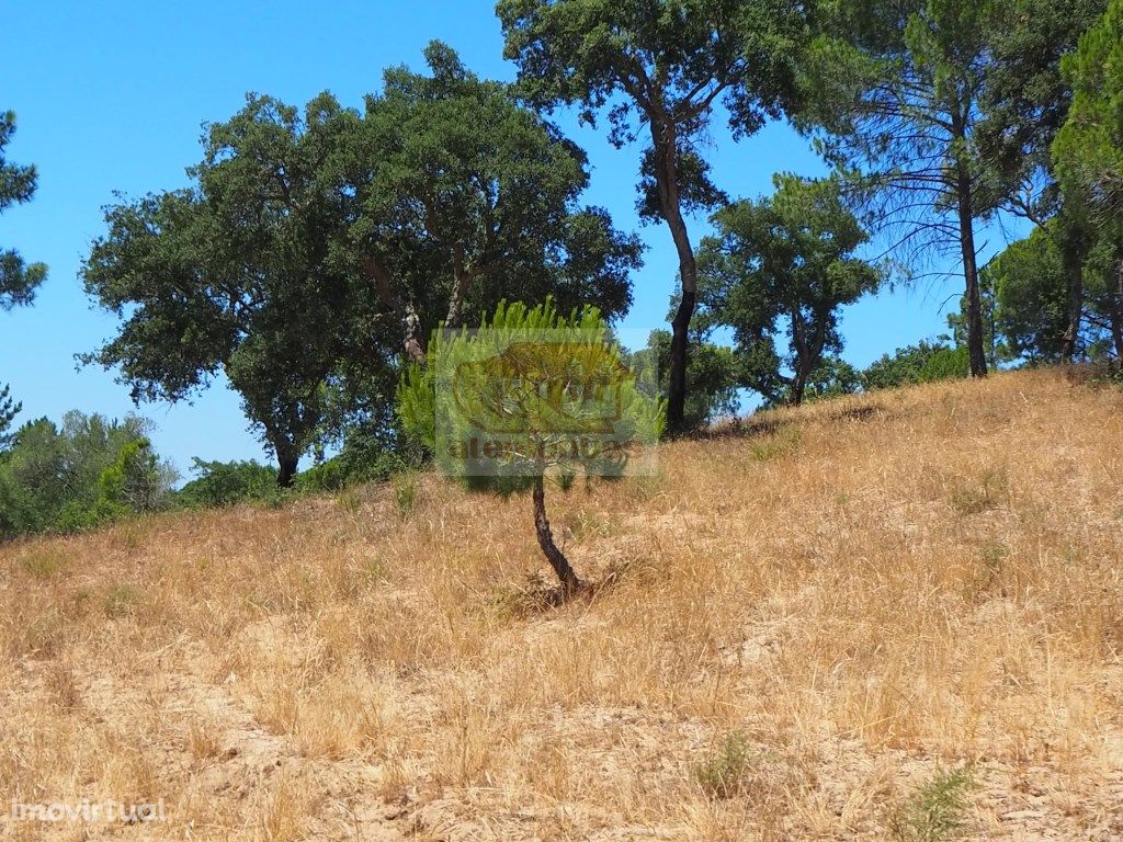 Terreno de 8ha com ruína a 5 minutos da praia da Aberta N...