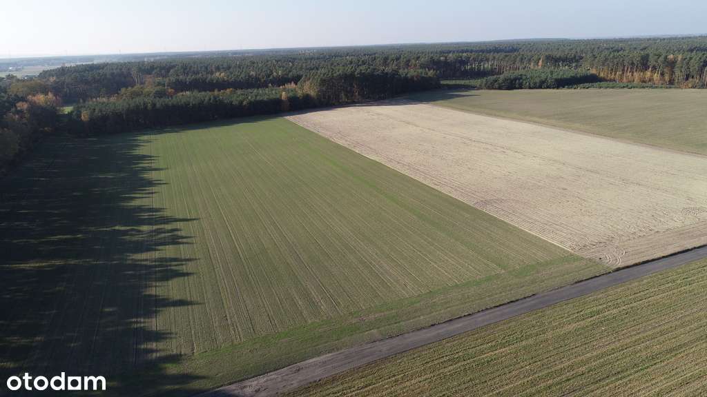 Działki budowlane o pow. 550-1900 m2 - Pełny obrazek: 4/9