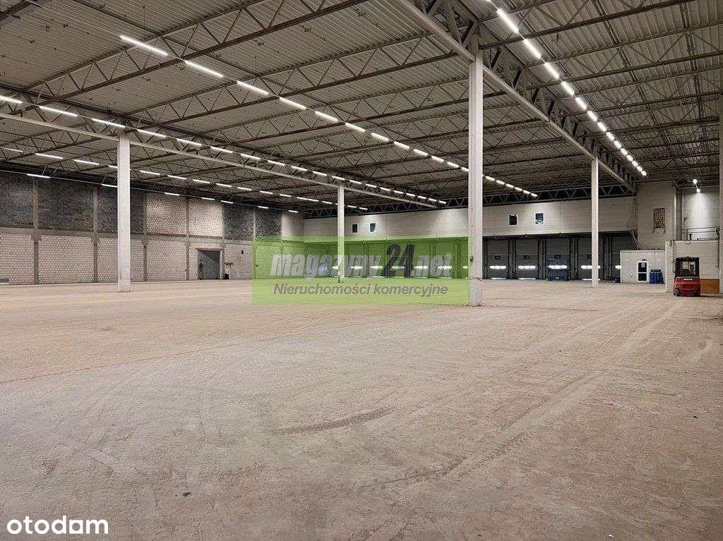 Magazyn 2500 m2 Piotrków Tryb - Pełny obrazek: 5/5