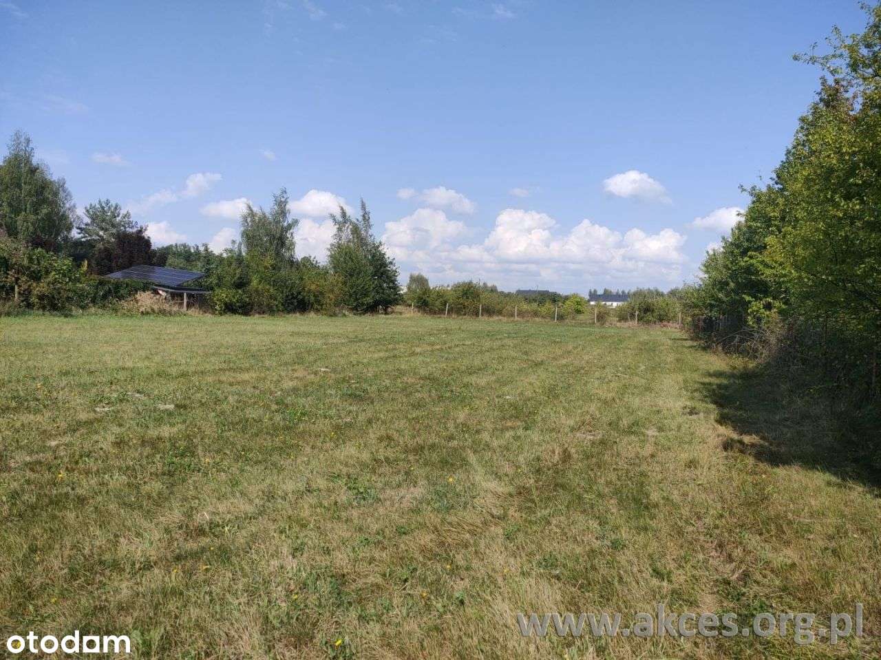 Działka, 1 234 m², Dobiesz - Pełny obrazek: 5/5