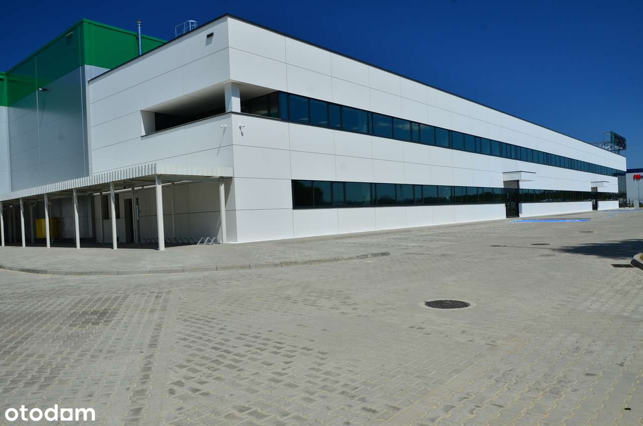 Magazyn od 1 350 m² |Poznań / S11 /A2 | 9,4 m | BREEAM | Klasa A - Pełny obrazek: 2/12