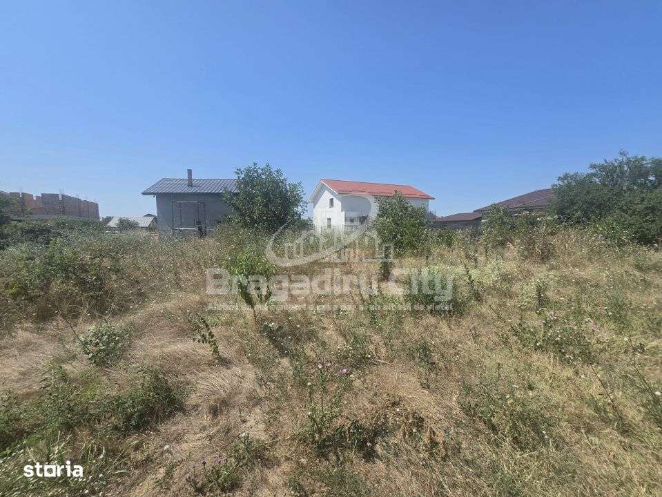 Teren parcela 545mp Drumul Targului Domnesti - Imagine principală: 4/7