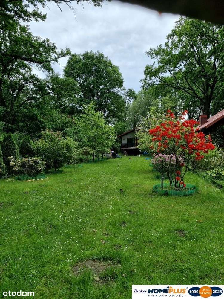 Klimatyczny domek przy Bugu na końcu świata - Pełny obrazek: 5/20