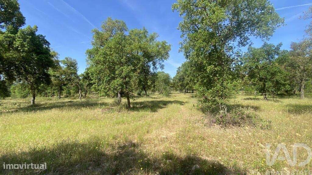 Terreno T2 em São Facundo e Vale das Mós de 568000,00 m2 - Grande imagem: 4/6