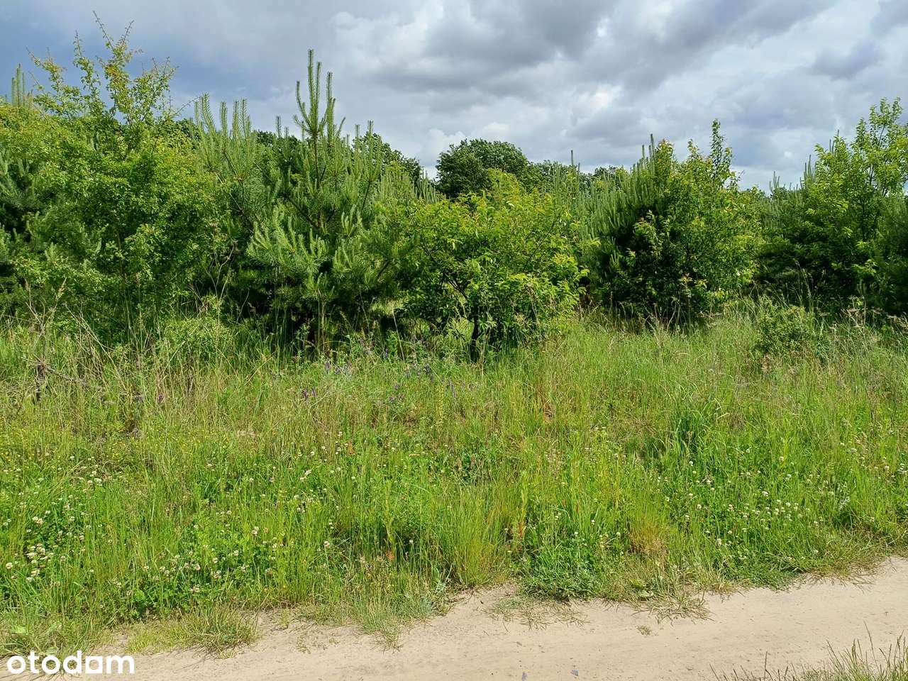 Wyjątkowa działka w otoczeniu lasu  - ul. Wyspiańskiego-7