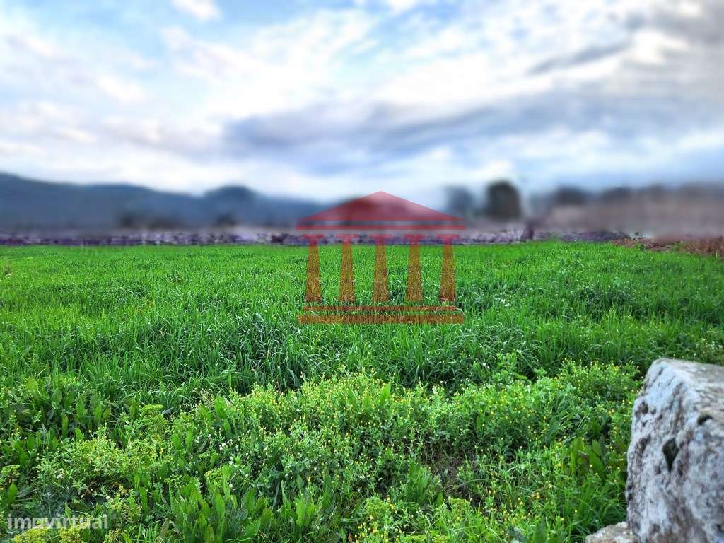 TERRENO PARA CONSTRUÇÃO - Grande imagem: 5/8