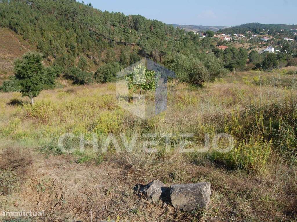 Terreno com viabilidade de construção, perto da Albufeira de Castel... - Grande imagem: 3/8