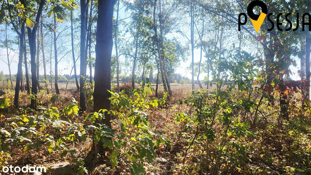 Działka budowlana 1000m2 Gołków wieś-Piaseczno - Pełny obrazek: 4/6