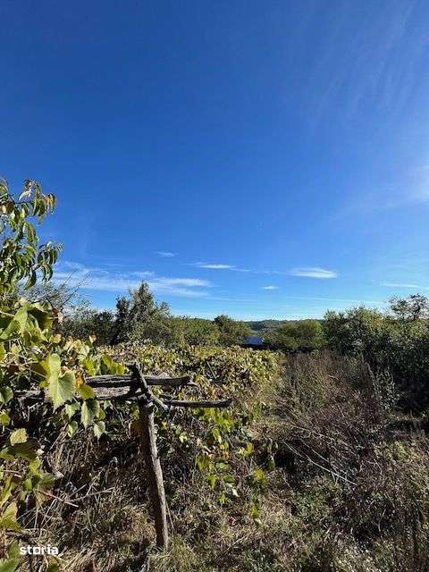 Casa veche cu teren generos in com. Rosiile, Jud. Valcea-5