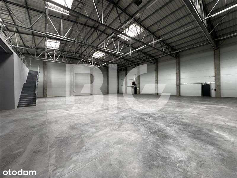 Hala produkcyjna, magazynowa. Biura, p. socjalne - Pełny obrazek: 4/12