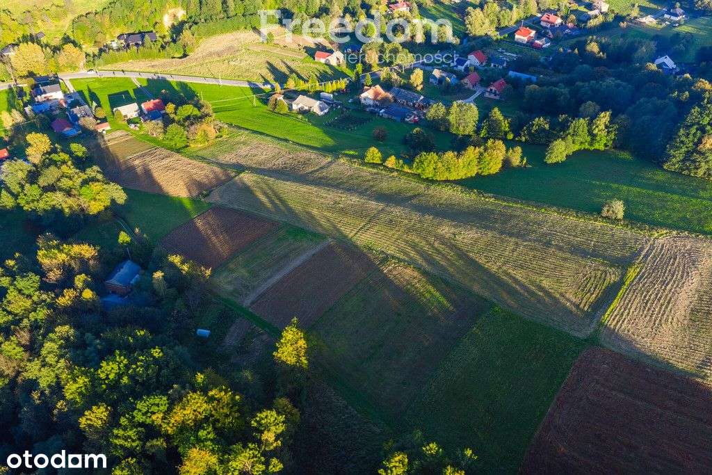 Działka 13a z Wz na stoku, Straszydle, gm. Lubenia - Pełny obrazek: 5/11