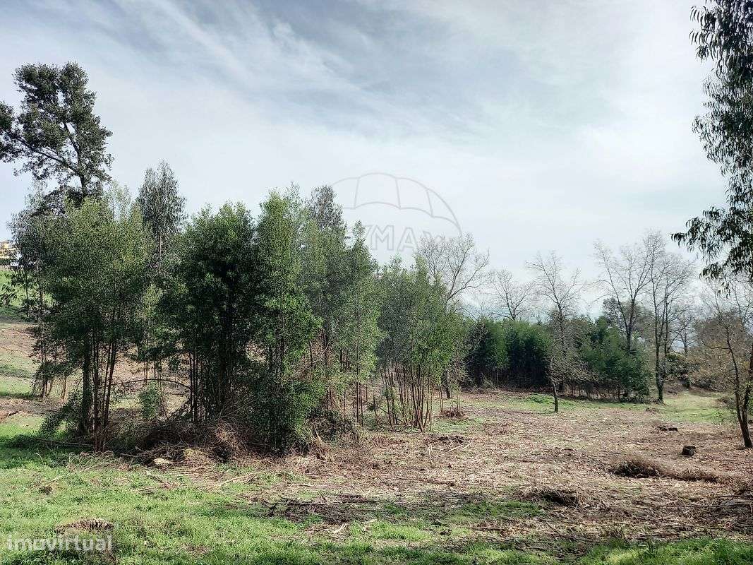 Terreno  para venda - Grande imagem: 4/19