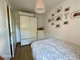 774765 - Very comfy single bedroom in Olivais - Grande imagem: 2/9