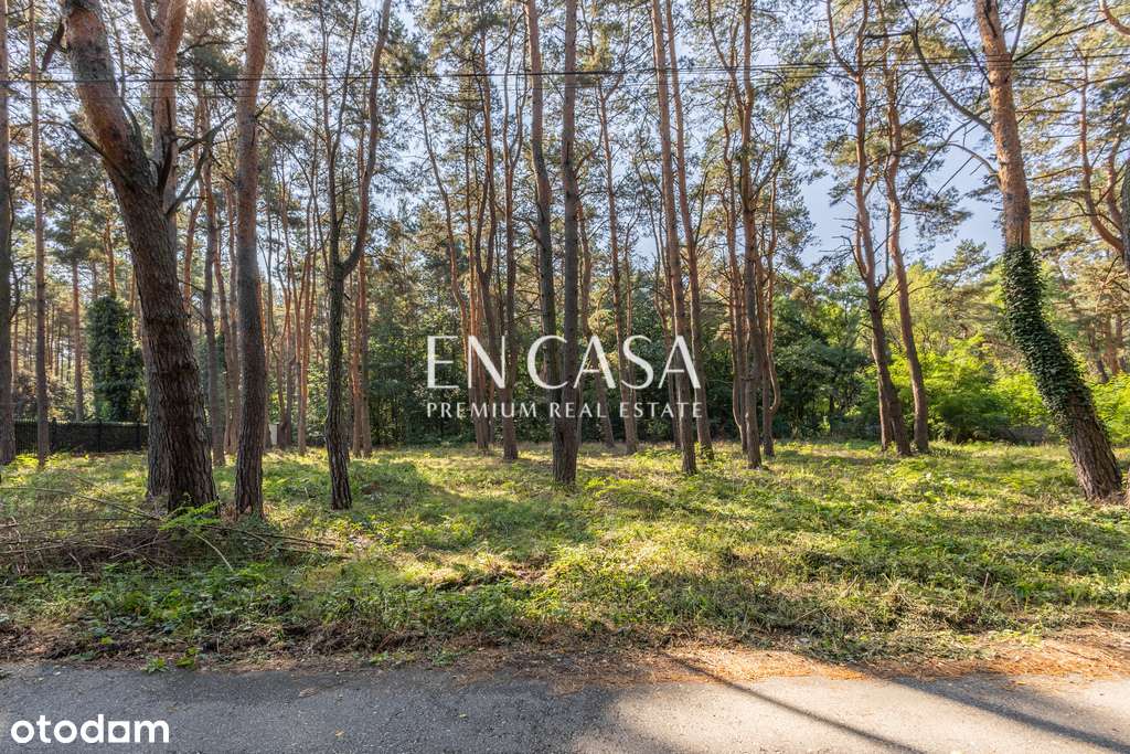 Radość | Piękna działka - 1813 m2 | Starodrzew - Pełny obrazek: 3/7
