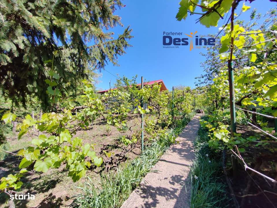 Casa individuala P+M, 164 mp utili + 1062 mp teren, COPOU - Imagine principală: 3/19