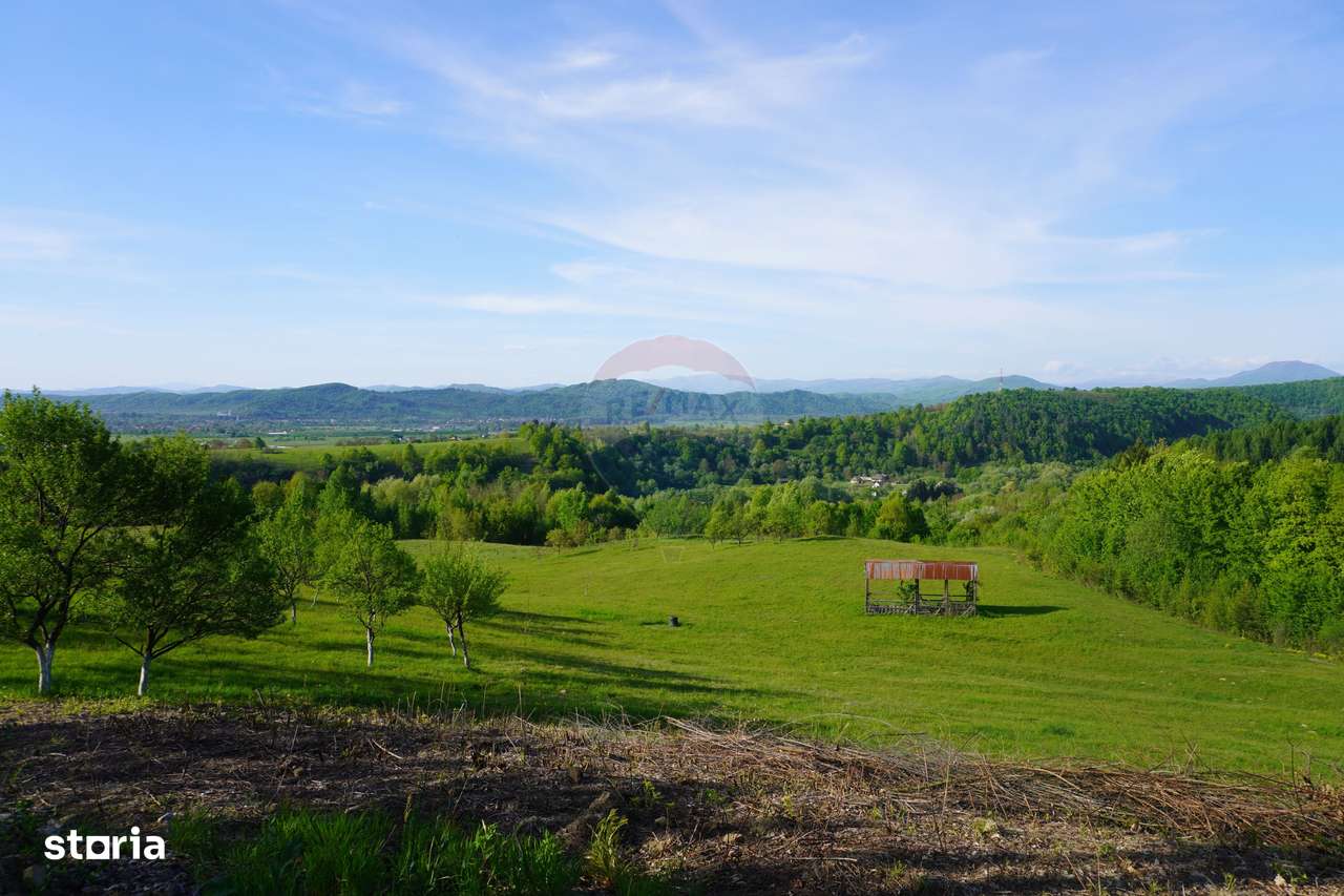 Teren 15,000mp Sighetu Marmatiei / Strada Mocăniței - Imagine principală: 2/13