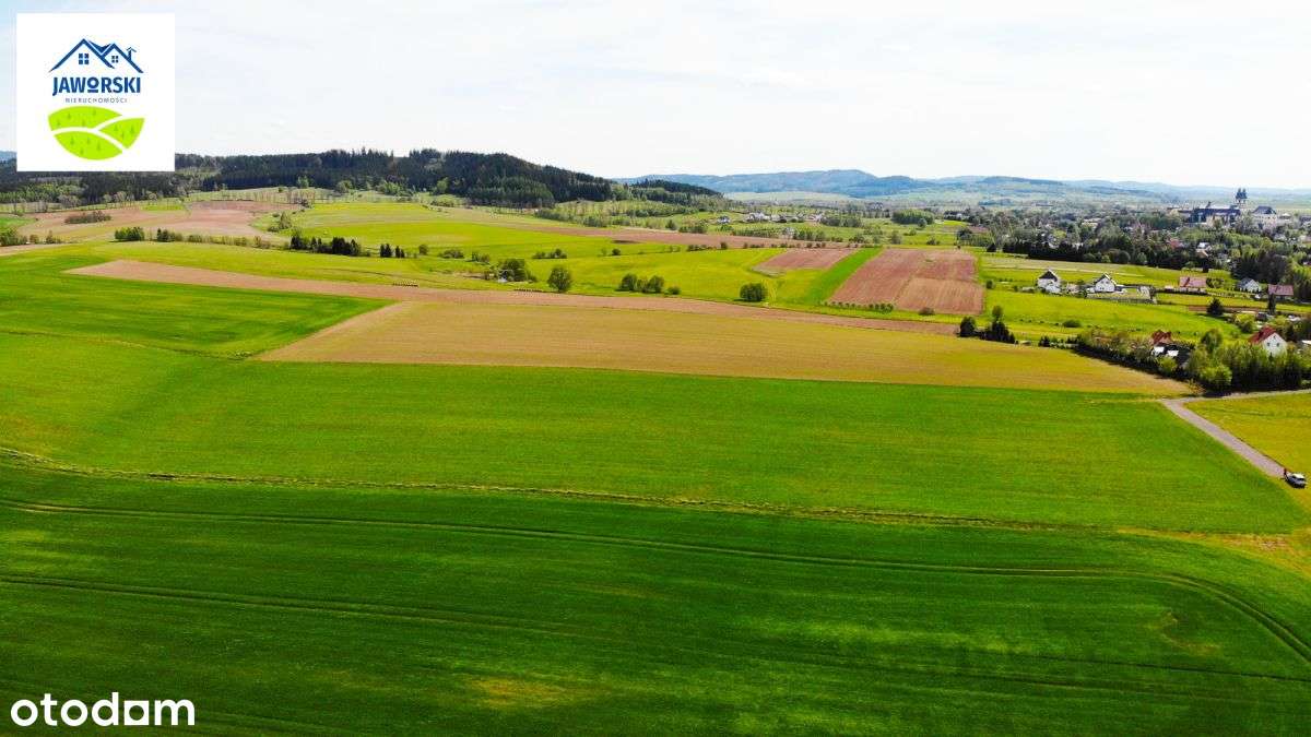 Działki budowlane - Cena od 75 zł/m2 - Krzeszów - Pełny obrazek: 5/5