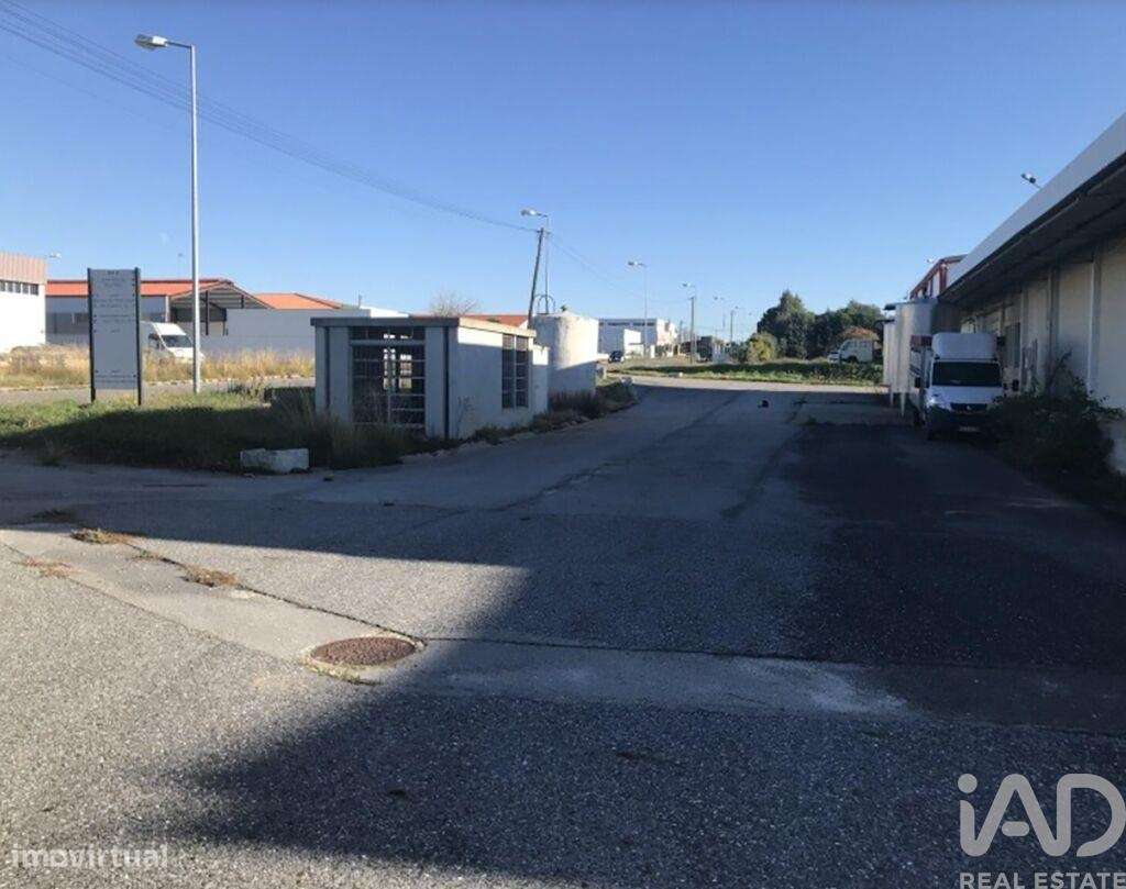 Loja / Estabelecimento Comercial em Idanha-a-Nova e Alcafozes de 3734, - Grande imagem: 5/11