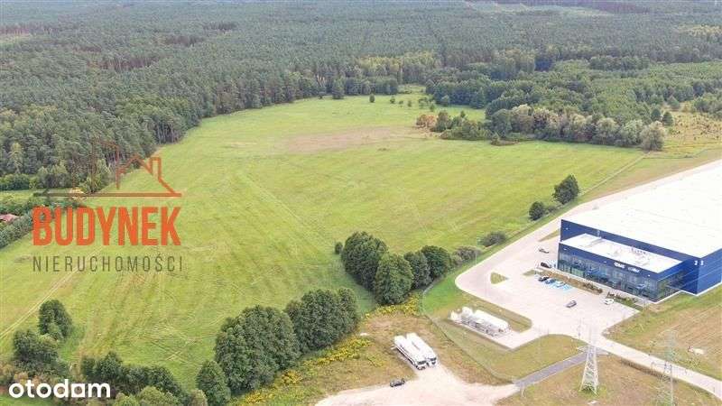 Działka przemysłowa - Lisi Ogon - Pełny obrazek: 5/15