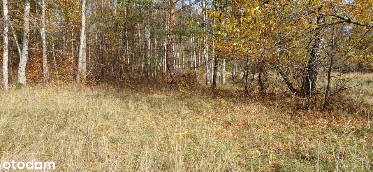 Atrakcyjna działka rekreacyjna nad rzeką Drawą, Stare Osieczno, 0,2 ha - Pełny obrazek: 4/6