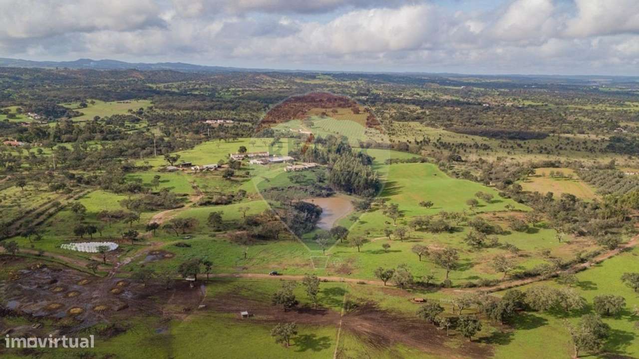 Quinta T3 para venda - Grande imagem: 4/31