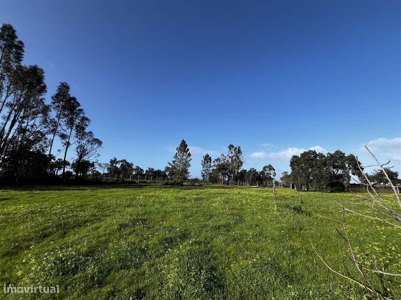 Terreno Urbano  Venda em Cortiçadas de Lavre e Lavre,Montemor-o-Novo-5