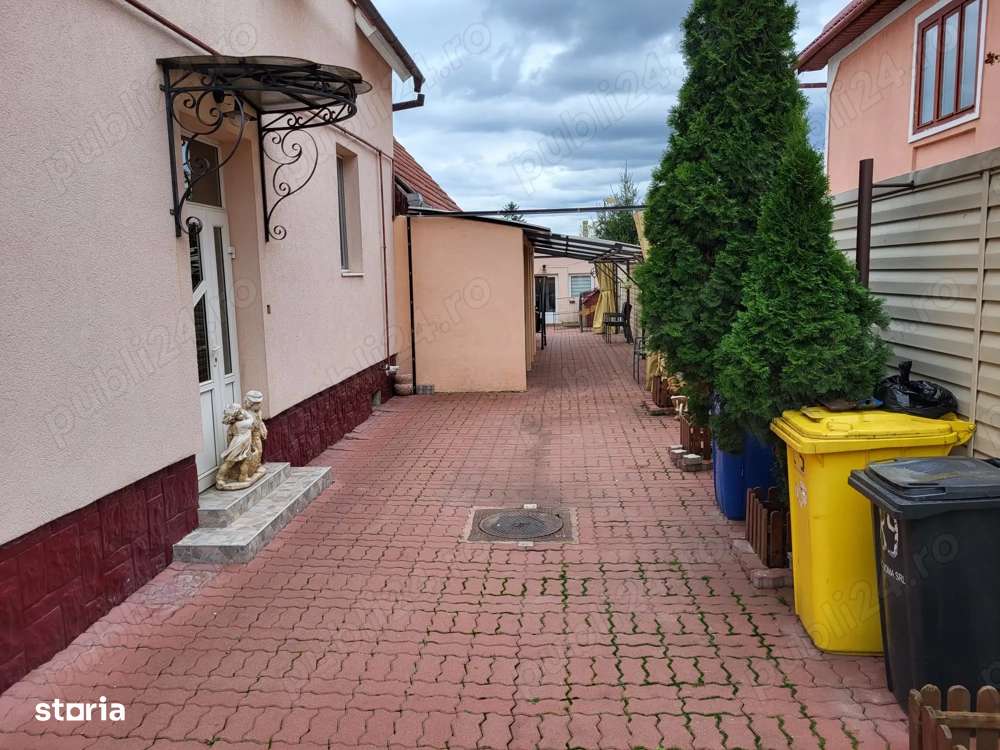 Casa cu 6 camere piscina si pivnita in Turnisor-1