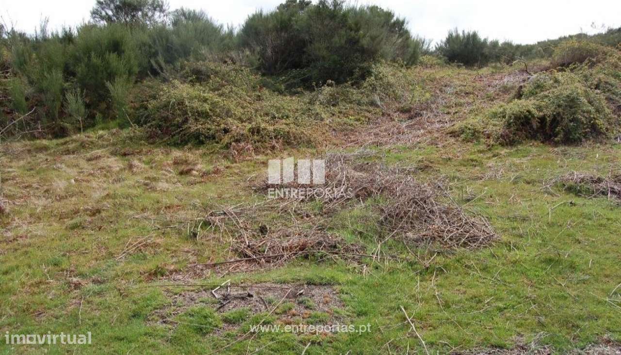 Venda Terreno, Carneiro, Amarante - Grande imagem: 4/9