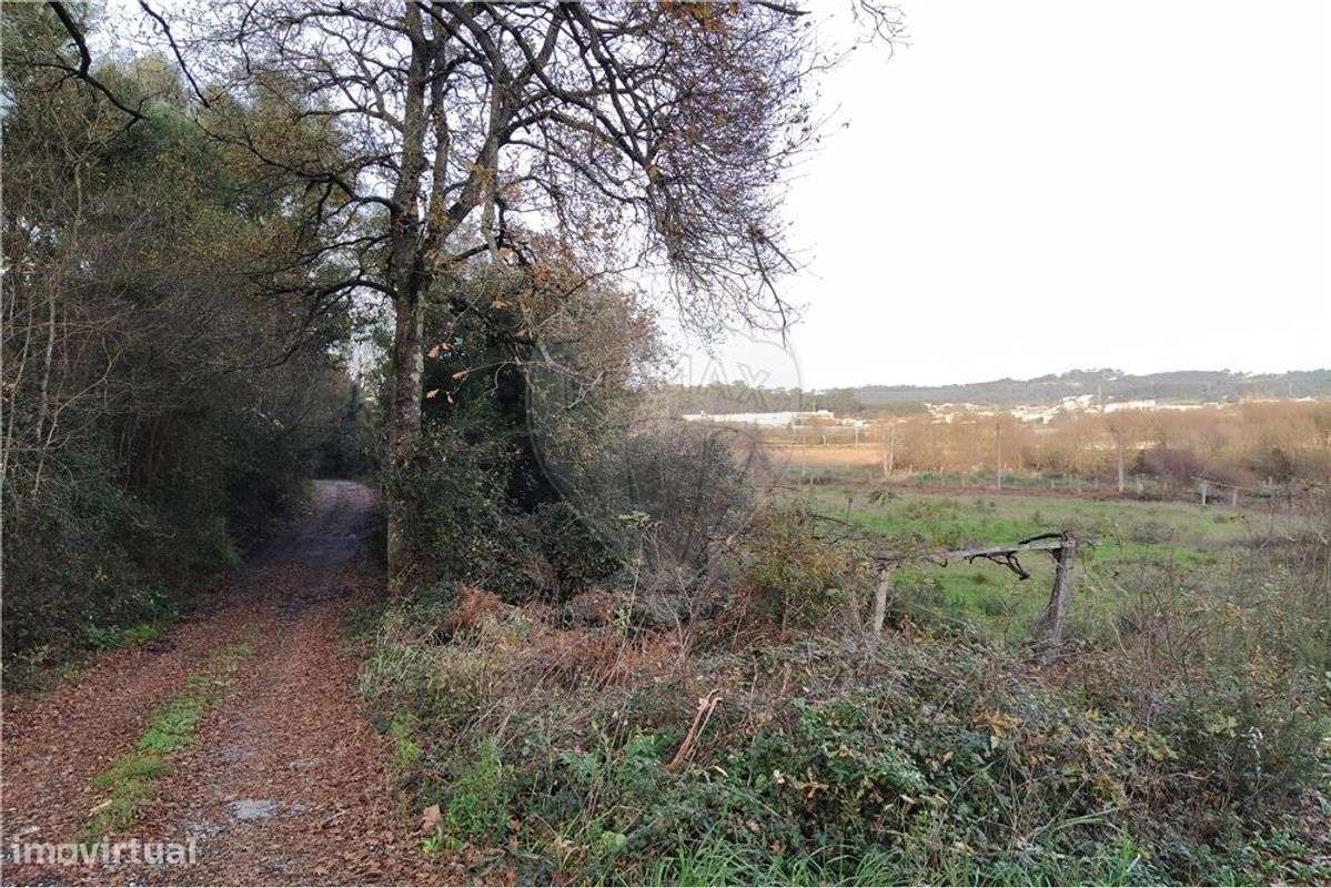 Terreno  para venda - Grande imagem: 4/5