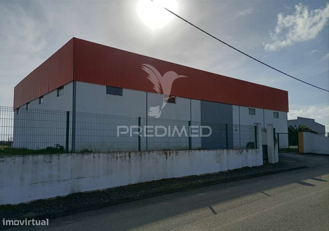 Armazém - Zona Industrial de Alter do Chão - Grande imagem: 1/15