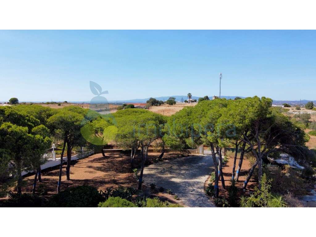 Terreno con charmosa Moradia na Zona Exclusiva da Praia do Carvoeir... - Grande imagem: 1/32