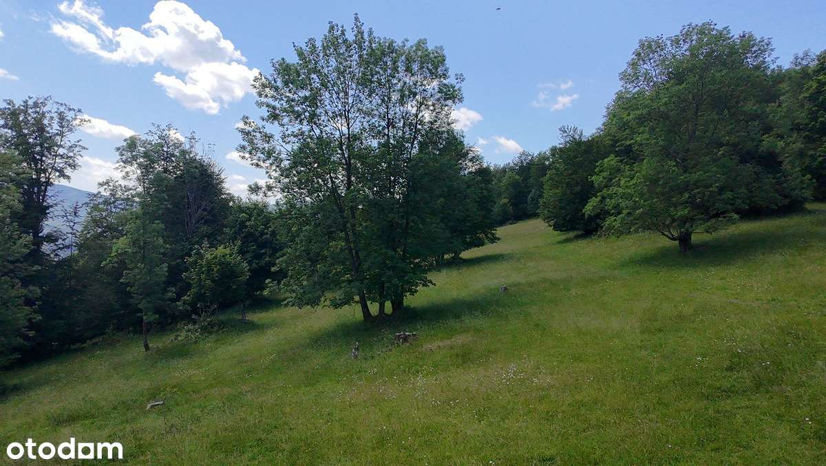 Inwestuj w przestrzeń – działka 19 000 m² z widokiem na góry - Pełny obrazek: 2/3