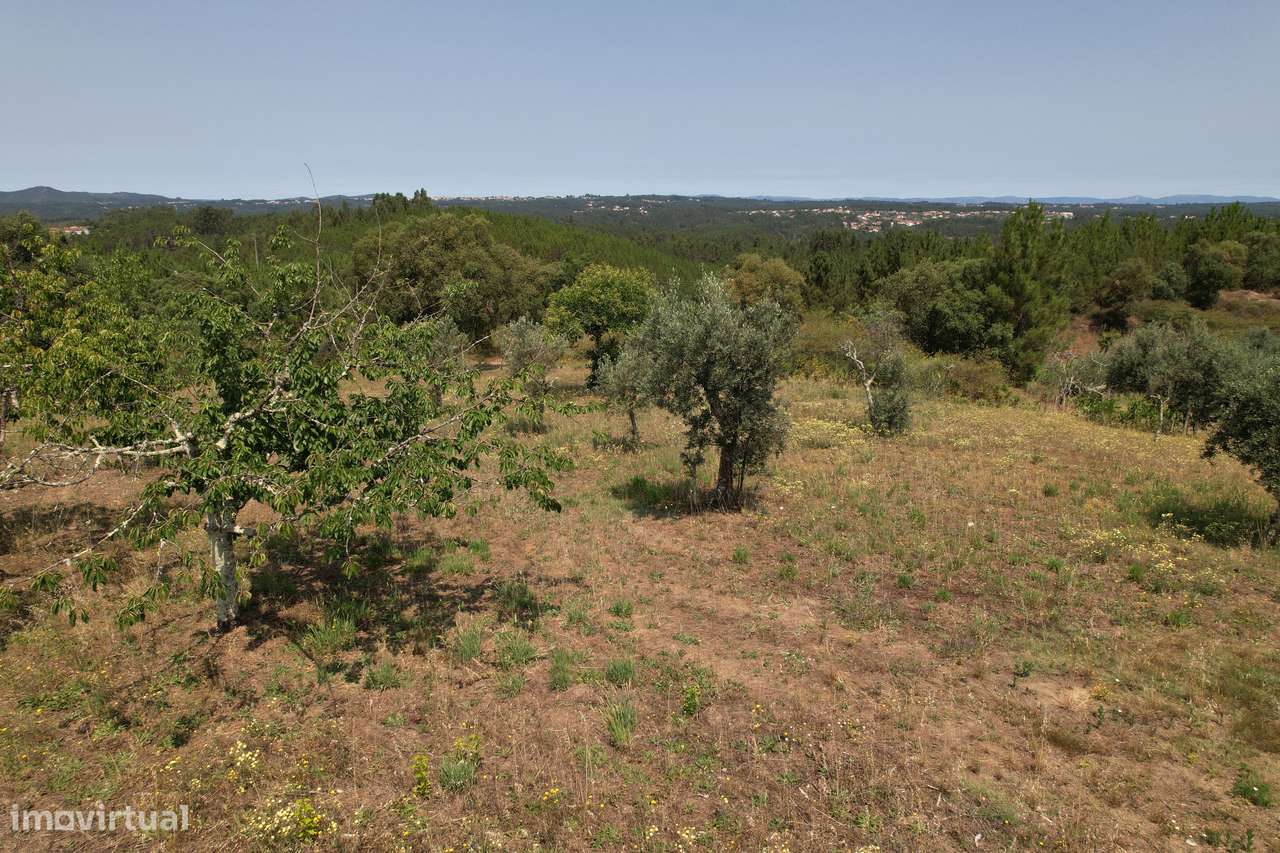 Terreno urbanizável de 4200m2, permite construção de moradia de 210m2-19