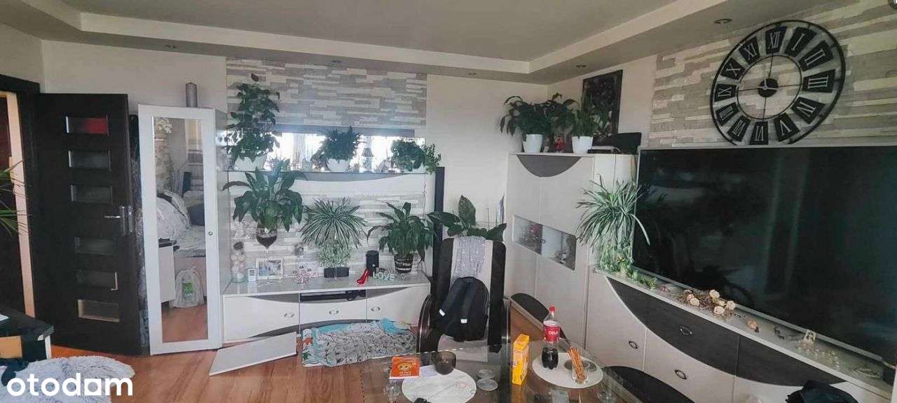 Mieszkanie 49m2, Łódź Retkinia - Pełny obrazek: 2/10