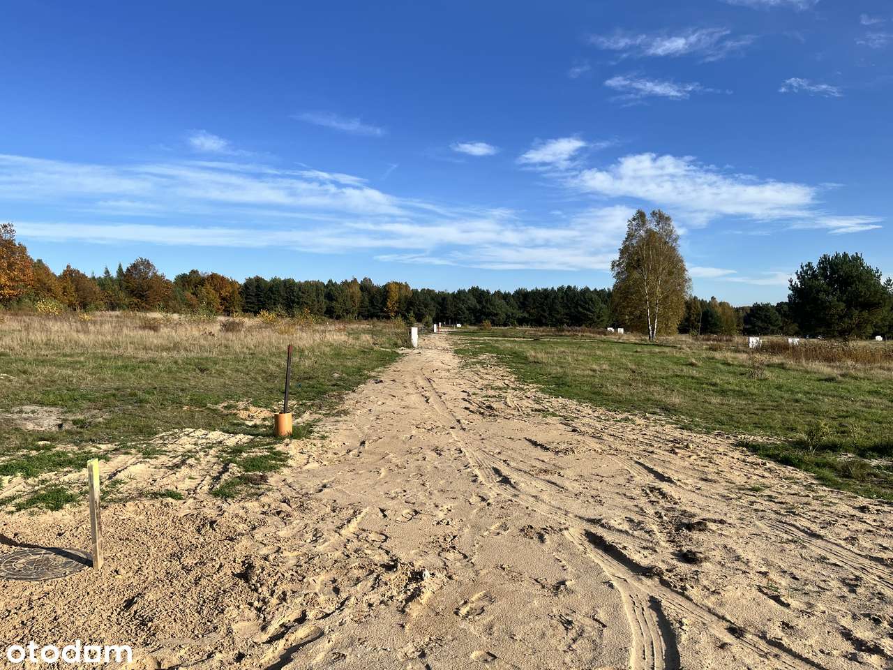 Olszyna - "LEŚNY ZAKĄTEK"-7