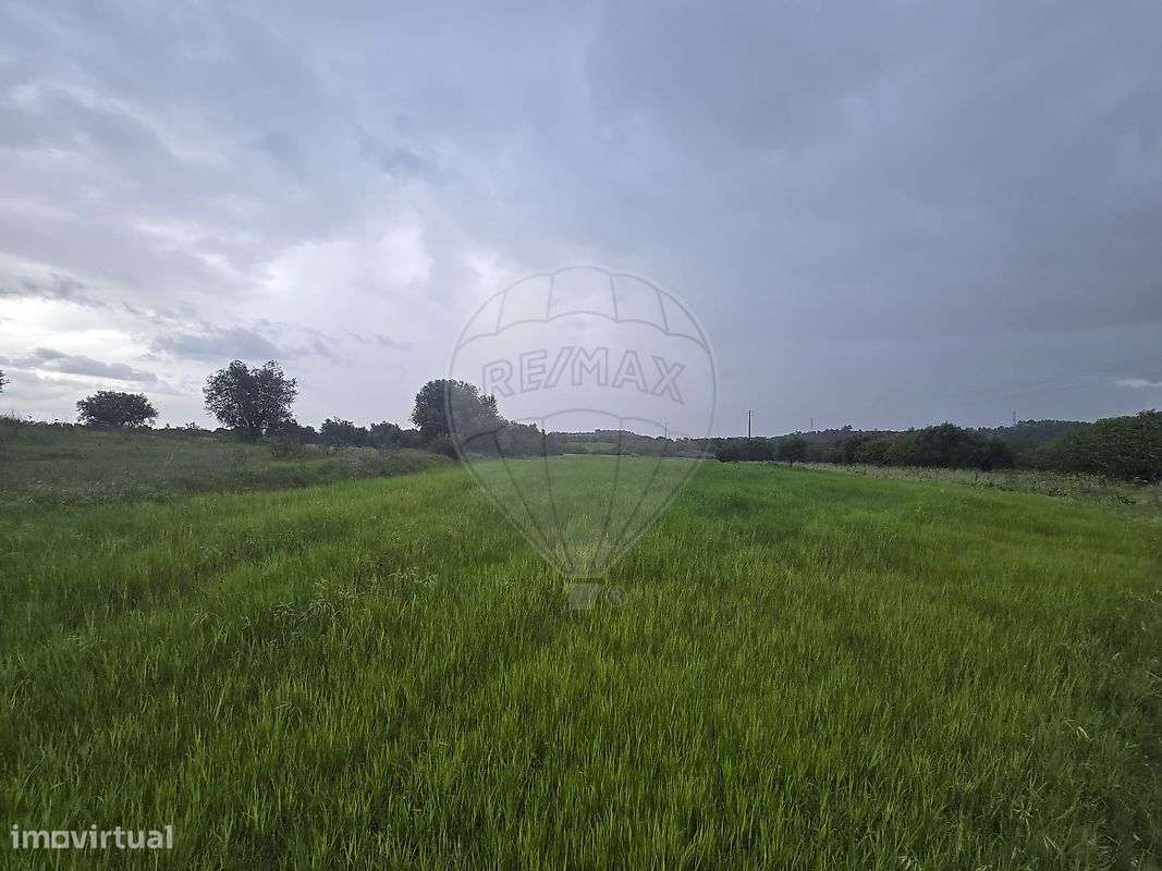 Terreno  para venda - Grande imagem: 5/8