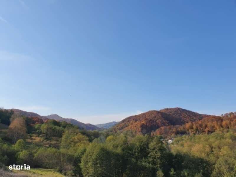 Puciosa Moreni Valea Lunga Sat Izvoru 20000mp teren de vanzare - Imagine principală: 5/20