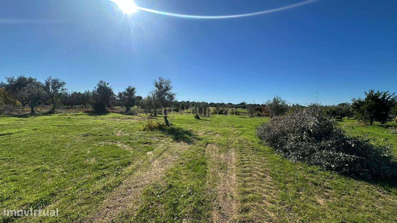 Terreno Rústico em Ladoeiro, Idanha a Nova - 48.000€ - Grande imagem: 4/16