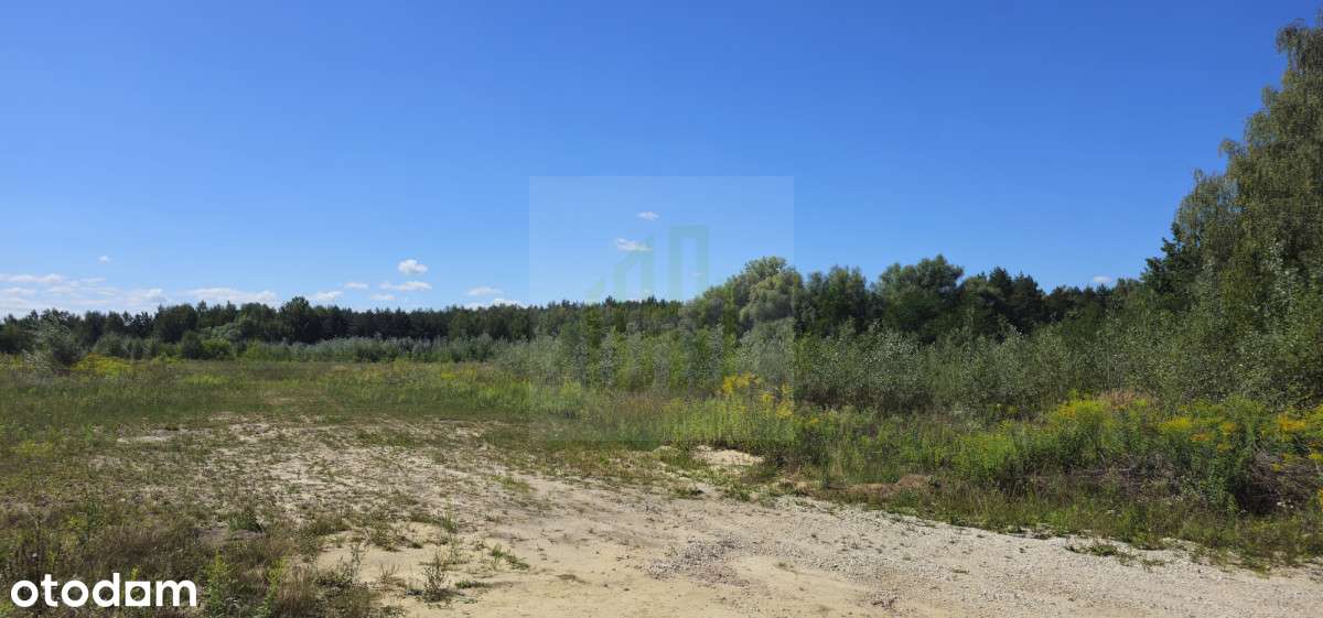 Nieruchomość gruntowa z potencjałem - Pełny obrazek: 4/6