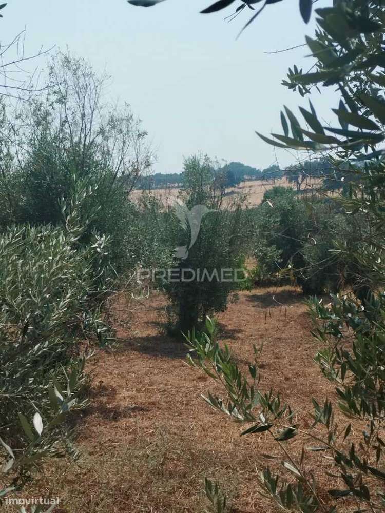 Terreno Urbano com possibilidade de poder construir. - Grande imagem: 2/5