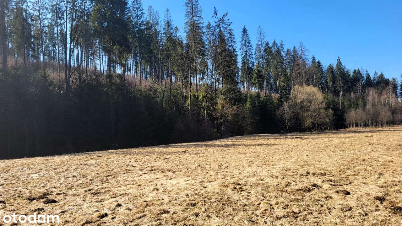 Działka budowlana, 6000 m2, Jaworzynka - Pełny obrazek: 3/13