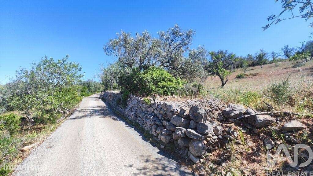 Casa de Campo T3 em Paderne de 300,00 m2 - Grande imagem: 5/15